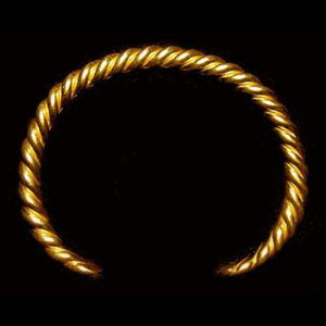 TORCS