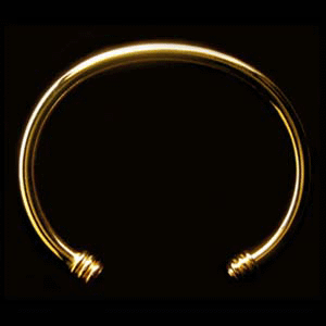 Iceni Wrist Torc
